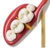 Omnia One Dental Wooden Matrix Wedges Medium White & Green Pack of 100-2